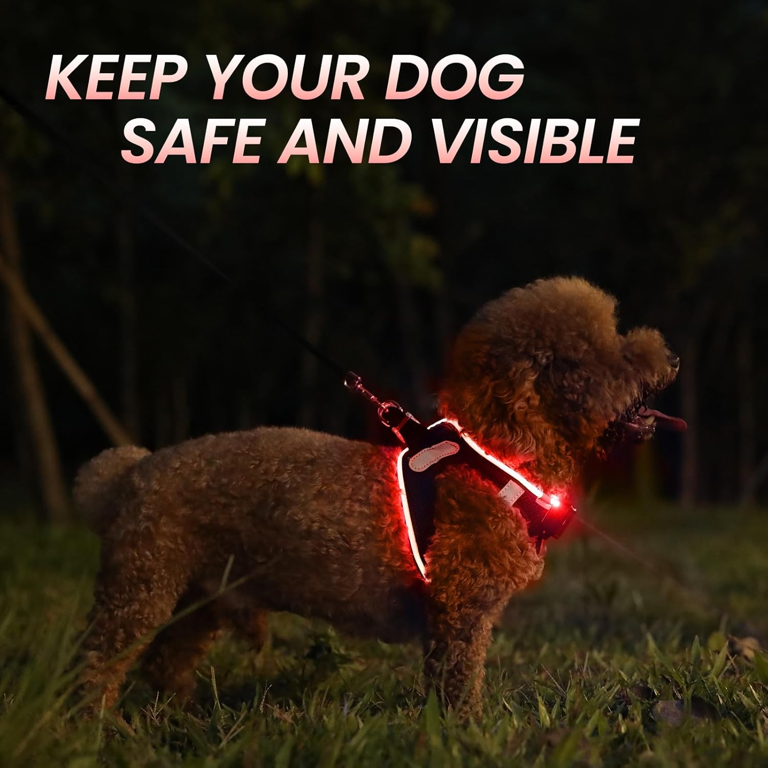 PcEoTllar Arnés para perro con luz LED, arnés de chaleco para perro con luces LED sin tirones, arnés recargable ajustable para cachorros y perros