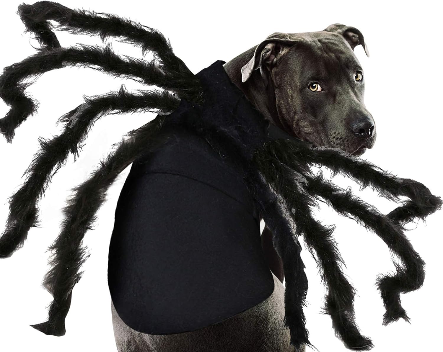 Disfraz de Halloween para mascotas, perros, sudadera de arañas, ropa de cosplay, ropa para mascotas, perros, Halloween, divertido, perro, cachorro,