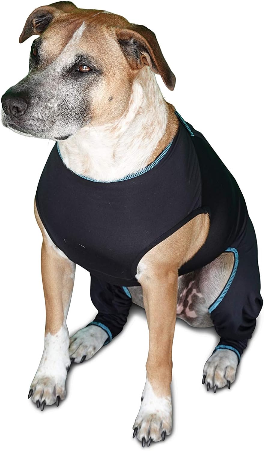 BENEFAB Traje terapéutico cómodo para perros, chaqueta ligera de infrarrojos lejanos para caninos de todas las edades, traje de compresión relajante