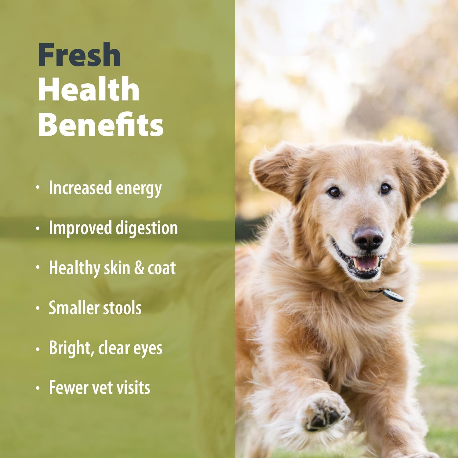 JustFoodForDogs Alimento fresco congelado para perros, comida completa o alimento para perros, receta de alimento humano de carne de res y patata