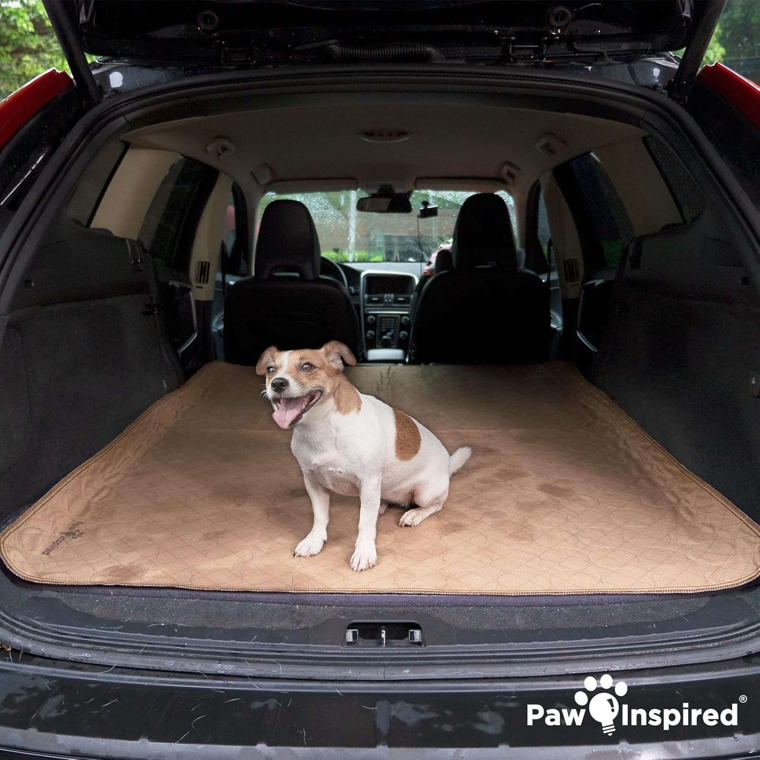 Paw Inspired Almohadillas lavables para orina para perros  Almohadillas reutilizables para cachorros  Almohadillas impermeables para parto