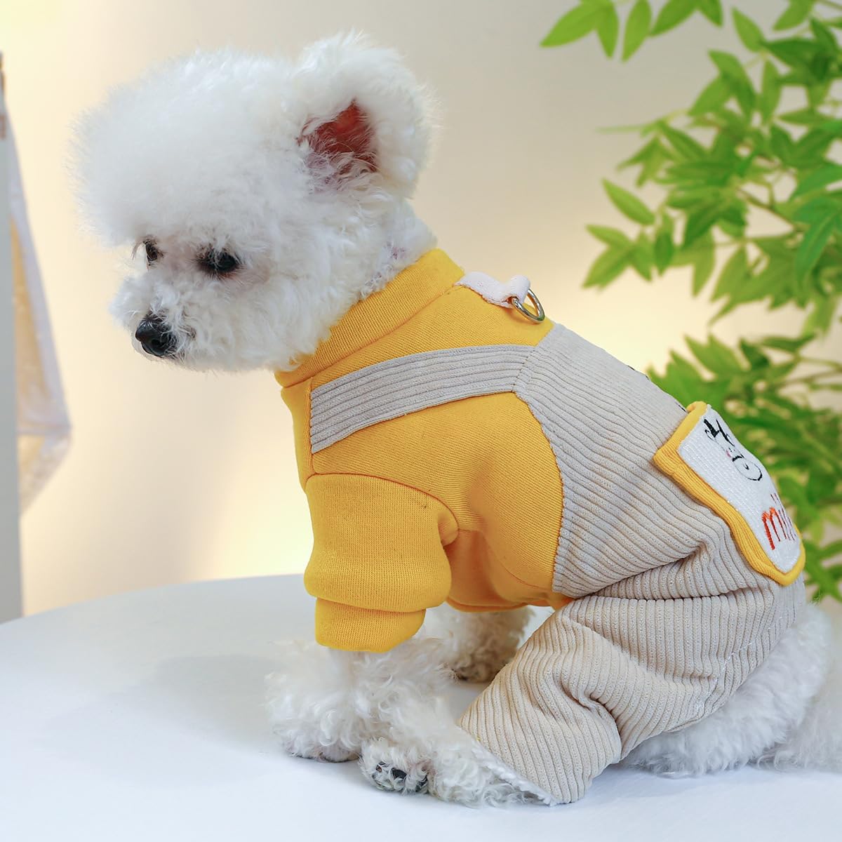 Ropa de algodón para perro, traje de invierno cálido para gatos, chaqueta de cachorro, abrigo de forro polar cálido para mascotas, trajes de