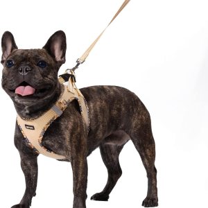 AMTOR – Arnés para perro con correa, arnés reflectante, ajustable y sin tirones para cachorros con chaleco acolchado para perros y gatos AMTOR – Arnés para perro con correa, arnés reflectante, ajustable y sin tirones para cachorros con chaleco acolchado para perros y gatos