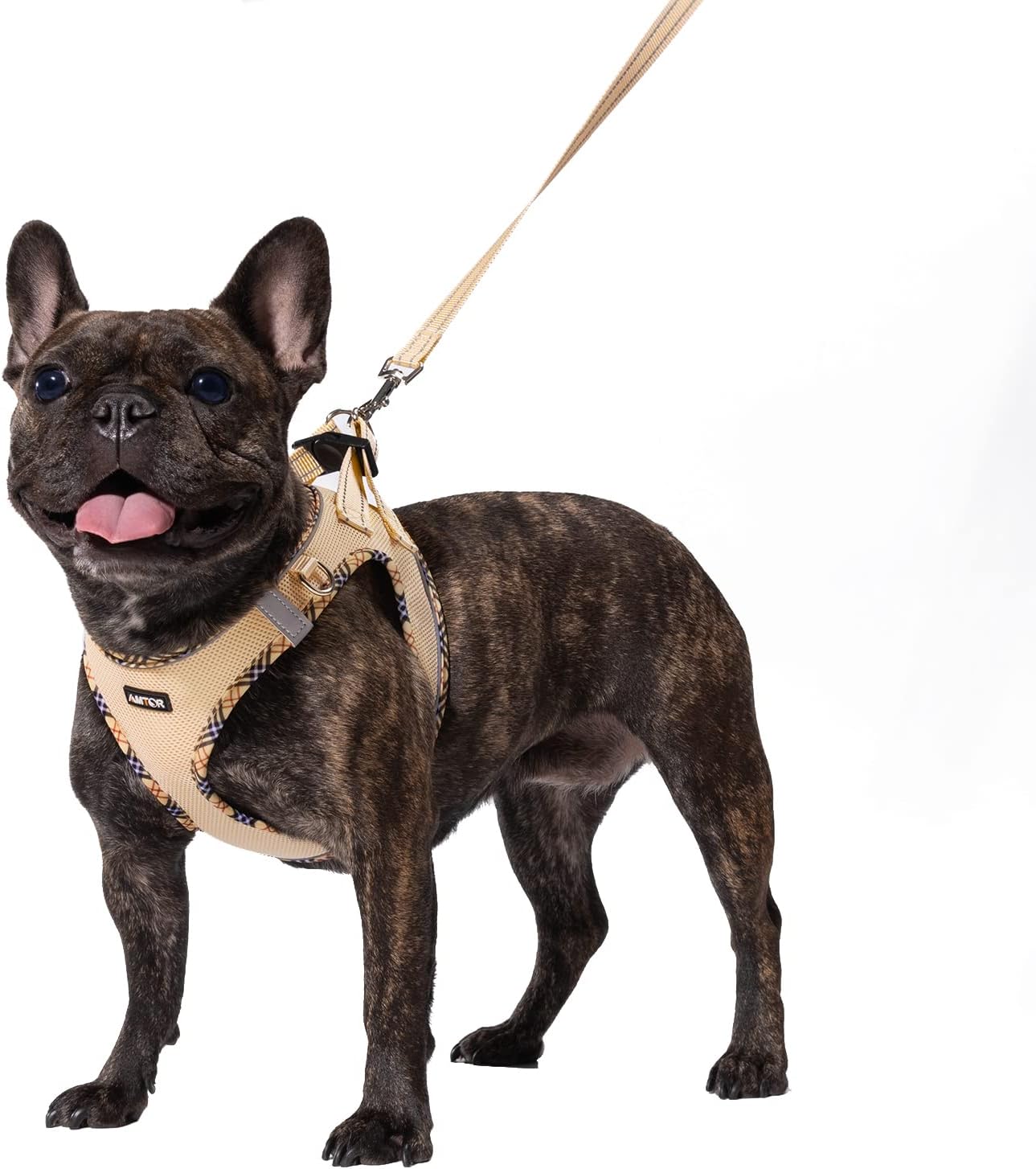 AMTOR – Arnés para perro con correa, arnés reflectante, ajustable y sin tirones para cachorros con chaleco acolchado para perros y gatos