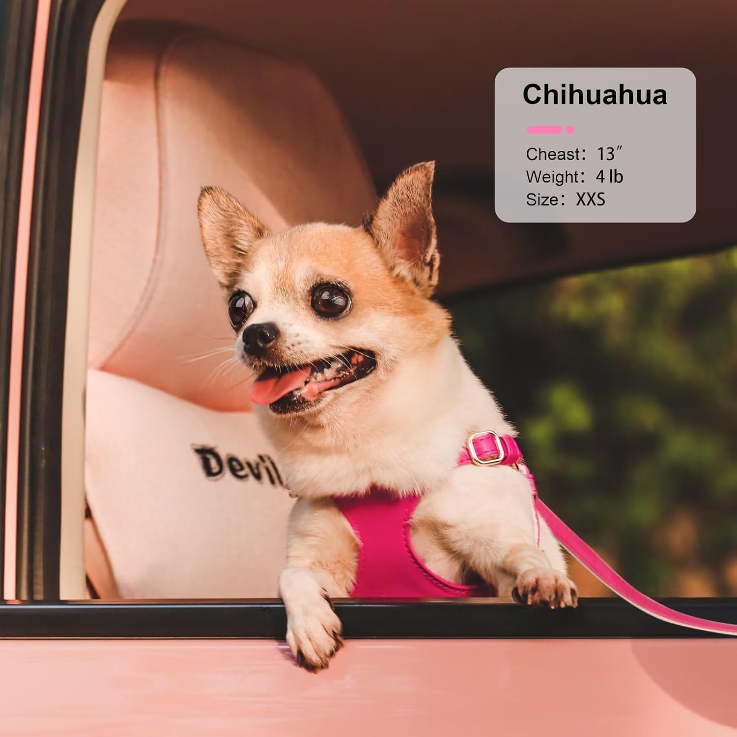 Didog Arnés sin tirones para perros pequeños, suave y ligero juego de arnés y correa para perros pequeños, arnés de cuero duradero y ajustable para