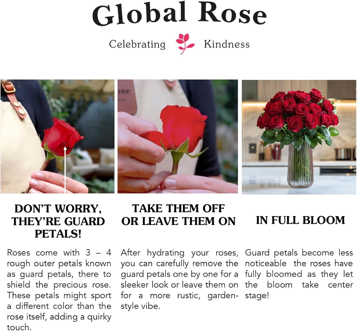 Rosas recién Cortadas, colores variados  flores frescas  perfectas para cumpleaños, aniversarios o cualquier ocasión.