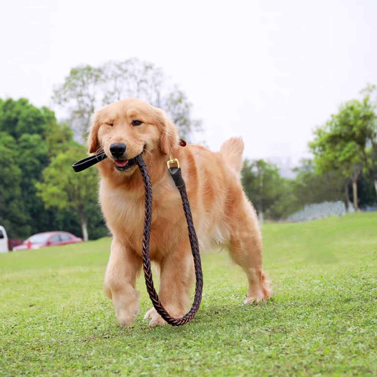 Correa de cuero para perro, correa trenzada duradera para entrenamiento de perros, correas de cuero resistente, correa de cuero suave y cómoda para