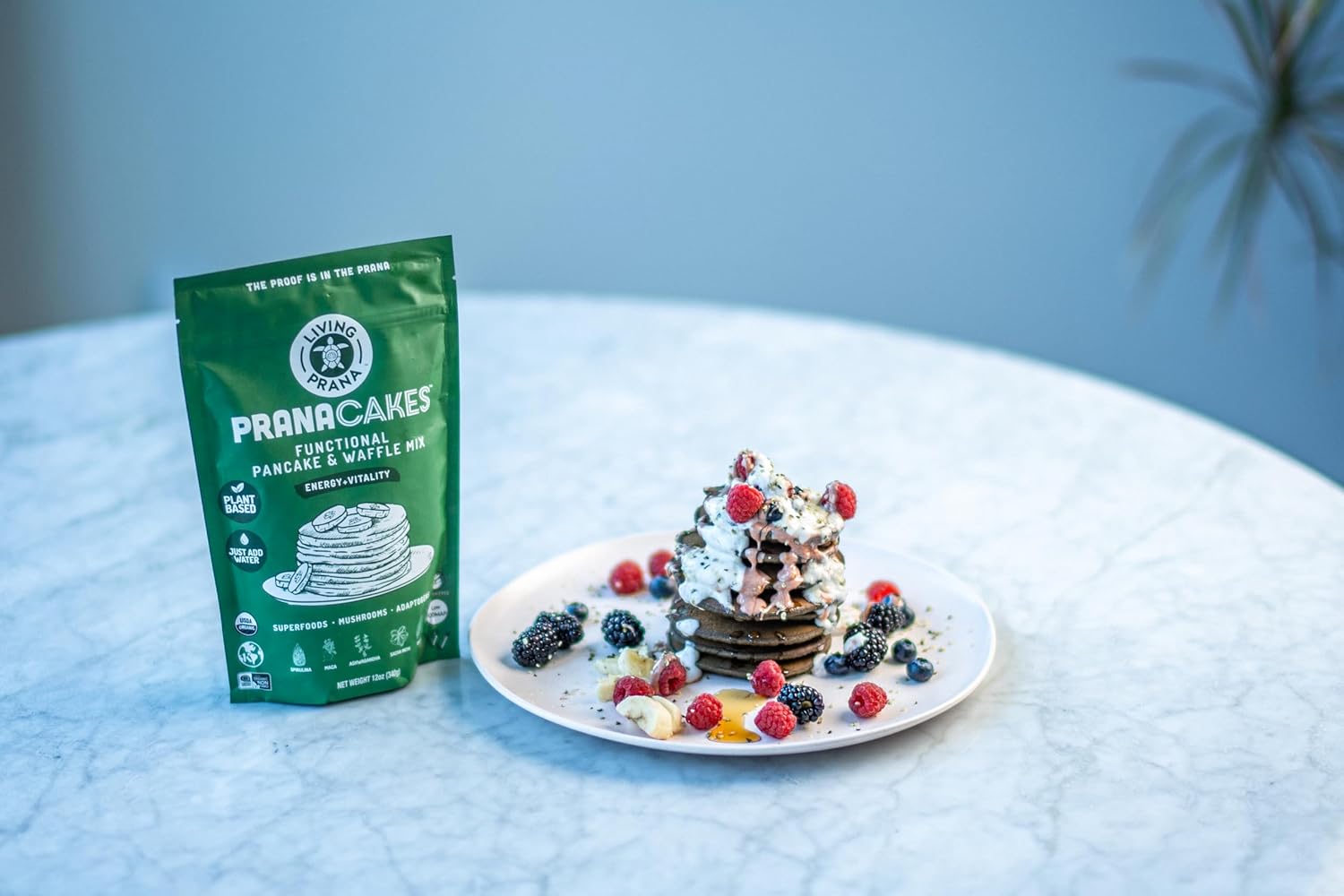 Living Prana PranaCakes – Mezcla orgánica para panqueques y waffles, sin gluten, solo agregue agua