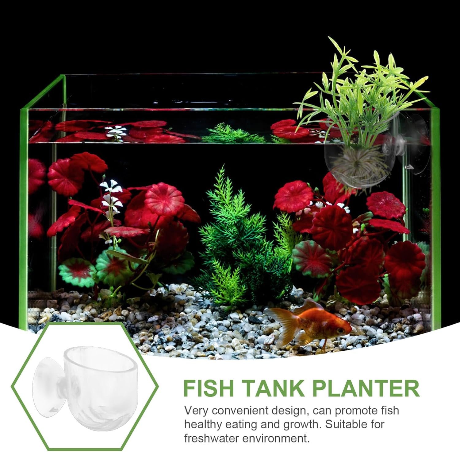 Ipetboom 4 macetas colgantes para acuario, comedero de acuario, pecera, maceta, acuario, alimentación, tazas, decoración, pecera, pecera, acrílico,