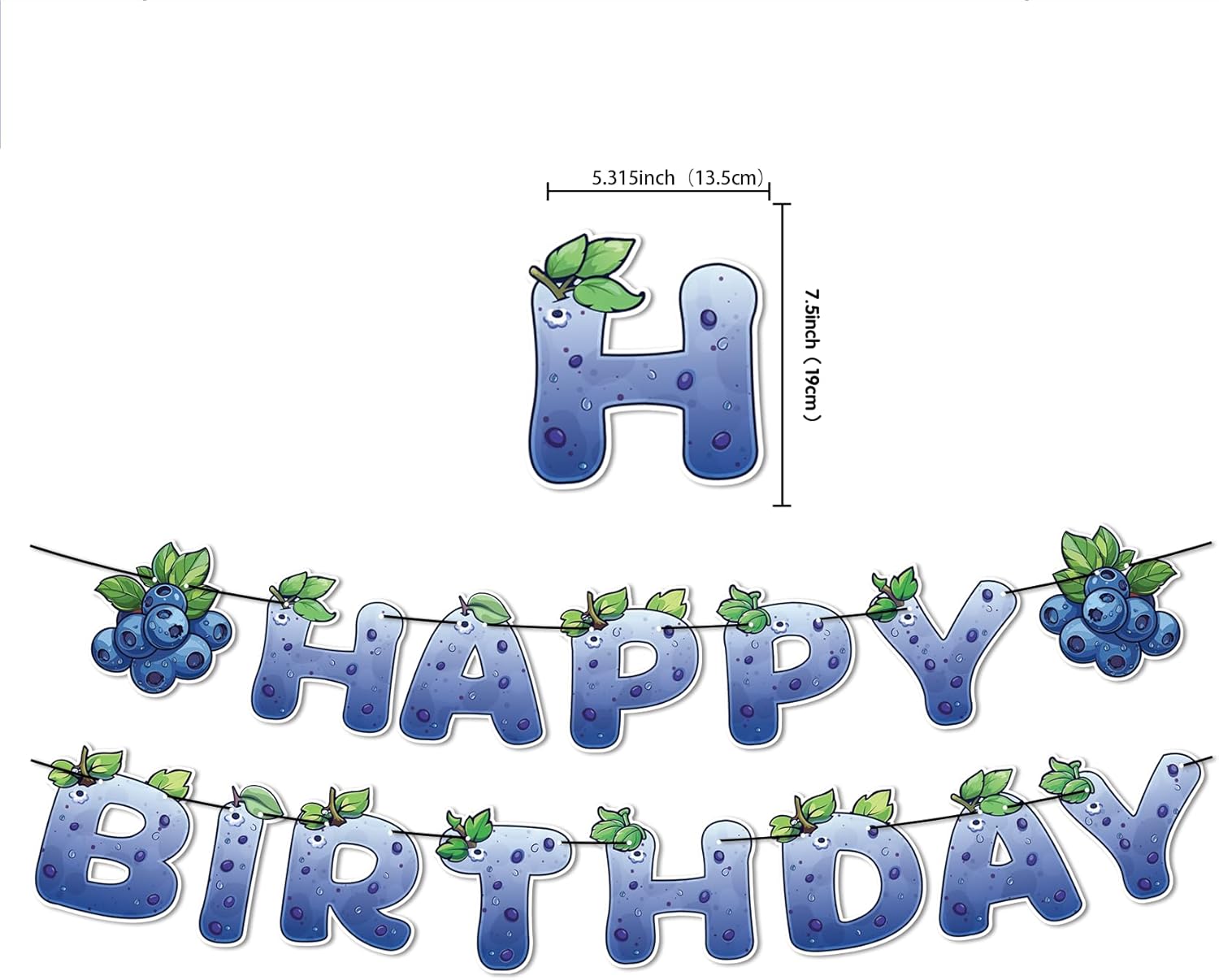 Decoraciones de cumpleaños de arándanos, suministros de fiesta de arándanos, incluye pancarta de cumpleaños de arándanos para decoración de