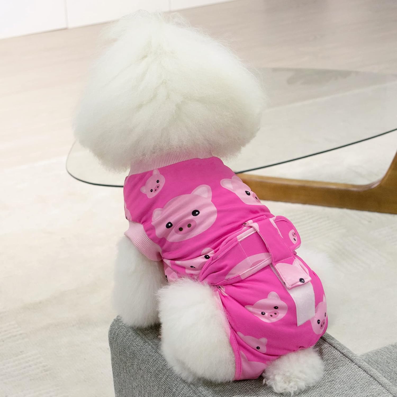 CuteBone Traje de recuperación de cirugía para perros, mono quirúrgico para gatos, trajes de cuerpo femenino, para evitar que las mascotas laman