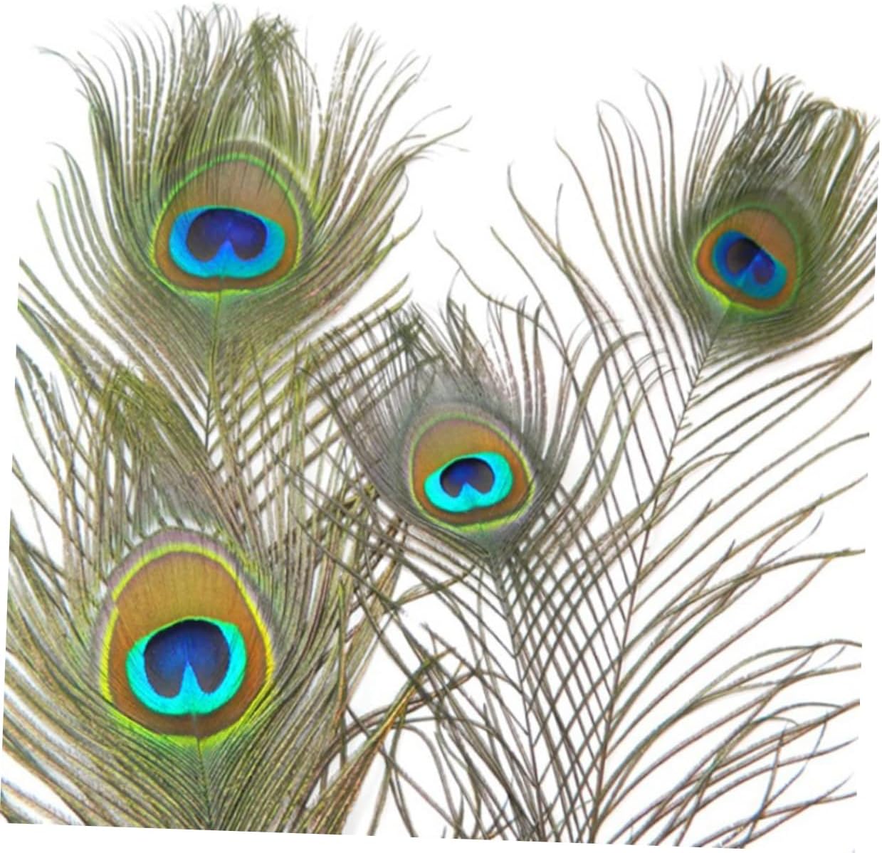 EXCEART 50 piezas de plumas naturales, plumas decorativas, plumas de cola de pavo real, arreglo floral