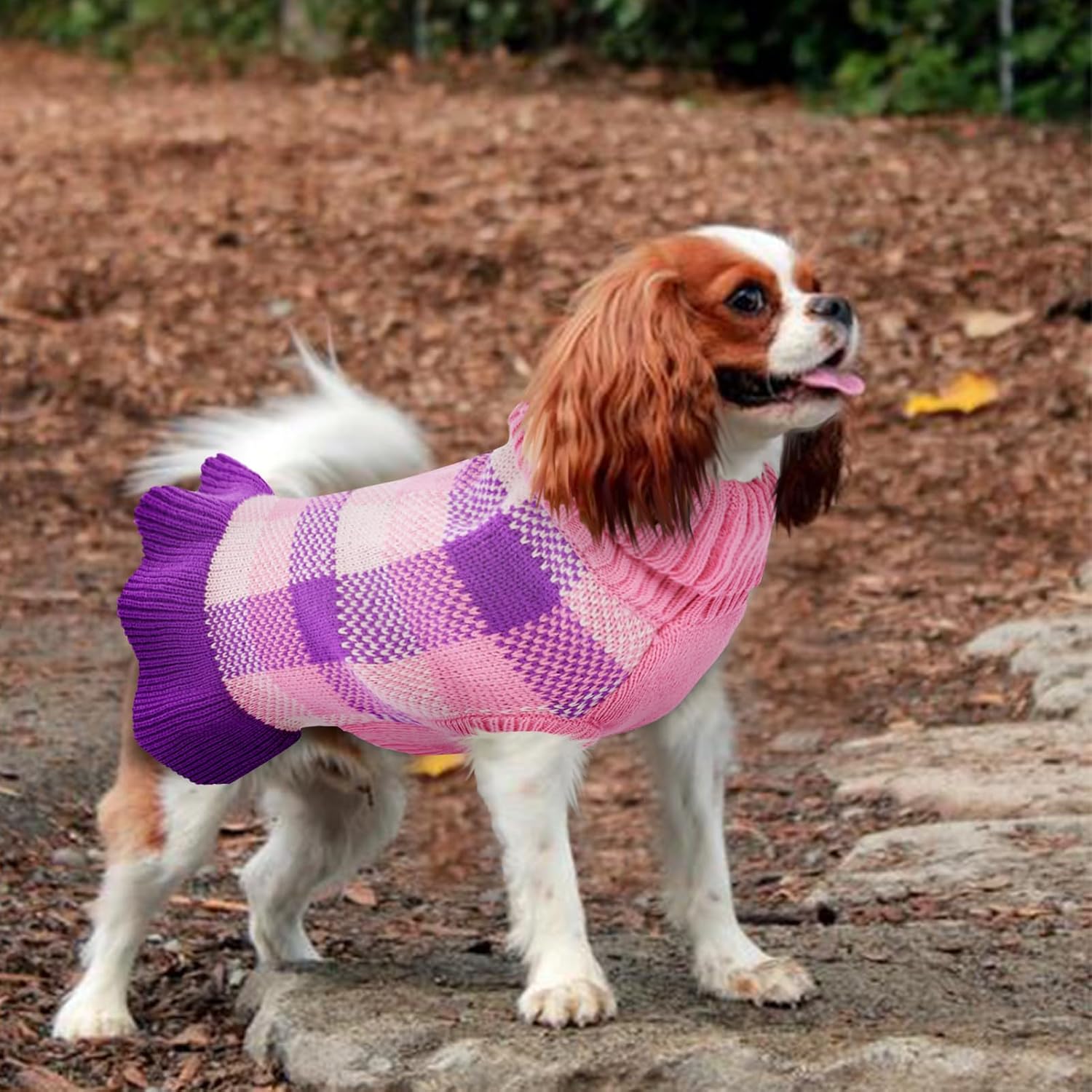 Vestido suéter para perro, ropa de punto a cuadros para perros pequeños y medianos, cálido, cuello alto, elástico, lindo chaleco de otoño e
