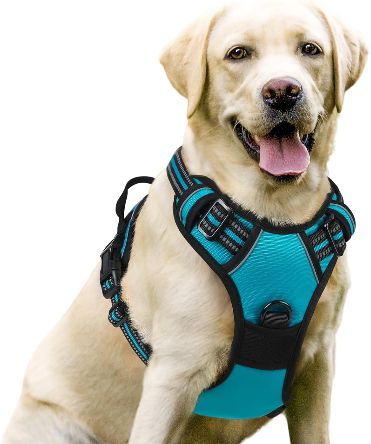 rabbitgoo Arnés para perro, arnés sin tirones para mascotas con 2 clips para correa, chaleco acolchado suave ajustable para perro, chaleco Oxford