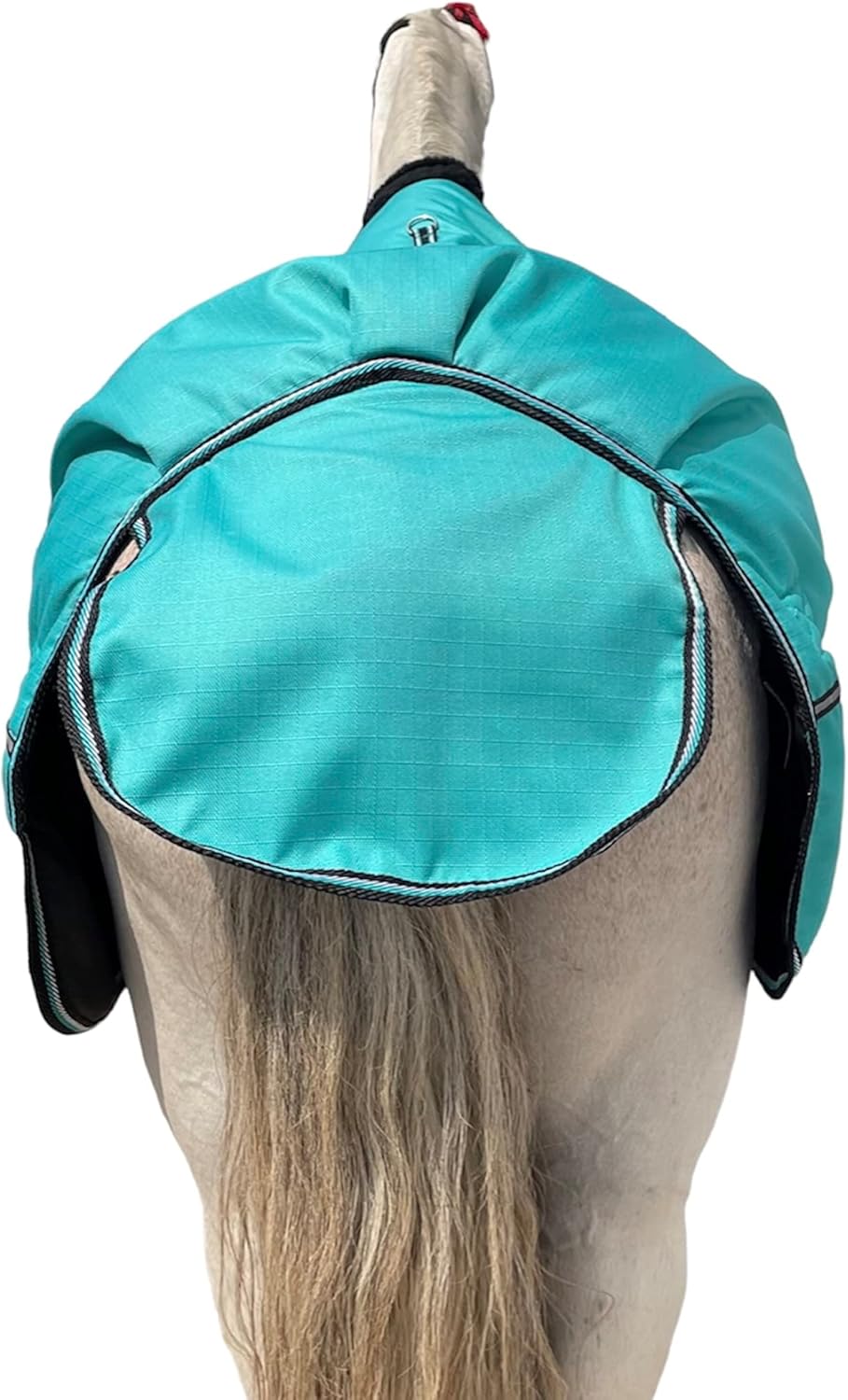 Majestic Ally Manta 1200D Ripstop Horse Turnout de 250 GSM relleno (turquesa, 80 pulgadas)