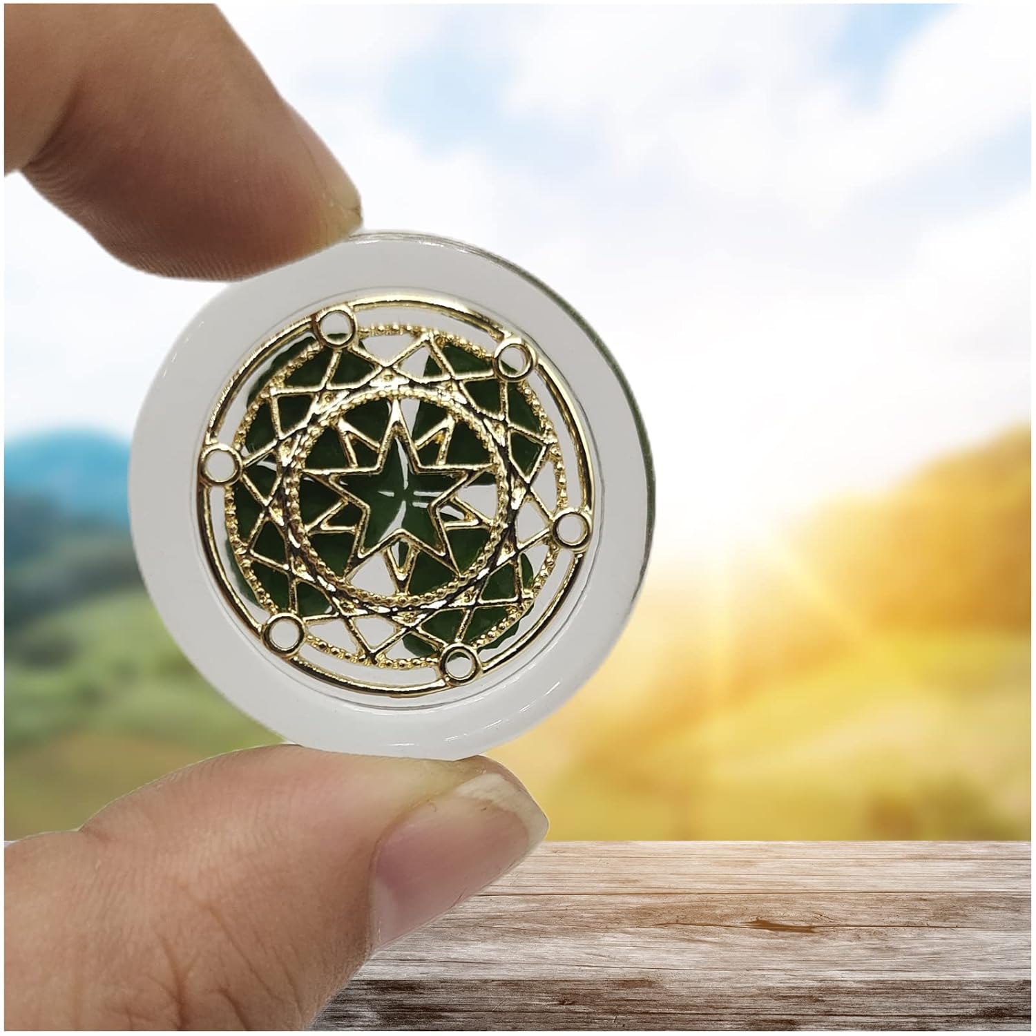 1 Pair Real Four Leaf Clover with Metals Magic Ornaments – Lucky Charms Lucky Coin, Moon Sun Star Good Luck Gift for Friends Family