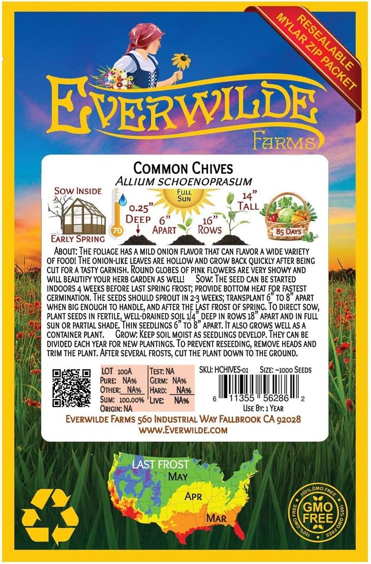 Everwilde Farms – 1000 semillas de hierbas de cebollino – Paquete de semillas jumbo Gold Vault
