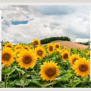 Adhesivo de pared de girasol, removible 3D, para ventanas falsas, vinilo autoadhesivo con girasol, para ventana, decoración de dormitorio, sala de Adhesivo de pared de girasol, removible 3D, para ventanas falsas, vinilo autoadhesivo con girasol, para ventana, decoración de dormitorio, sala de