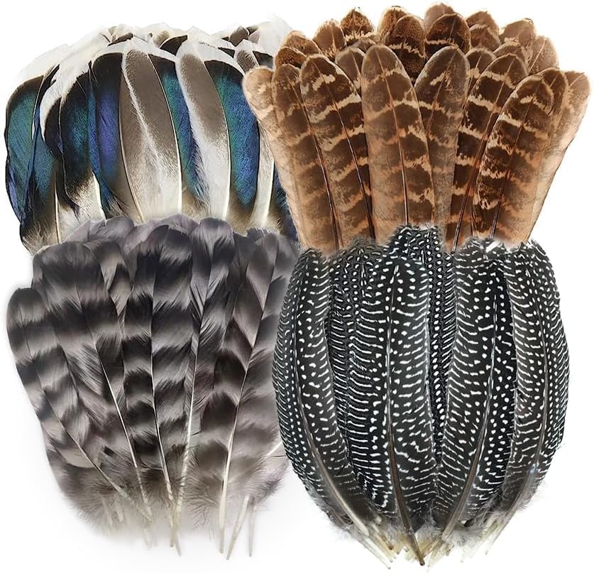 40 plumas de faisán naturales, plumas manchadas, plumas de pavo, 4 estilos de plumas para manualidades, sombrero de bricolaje, arreglos florales,