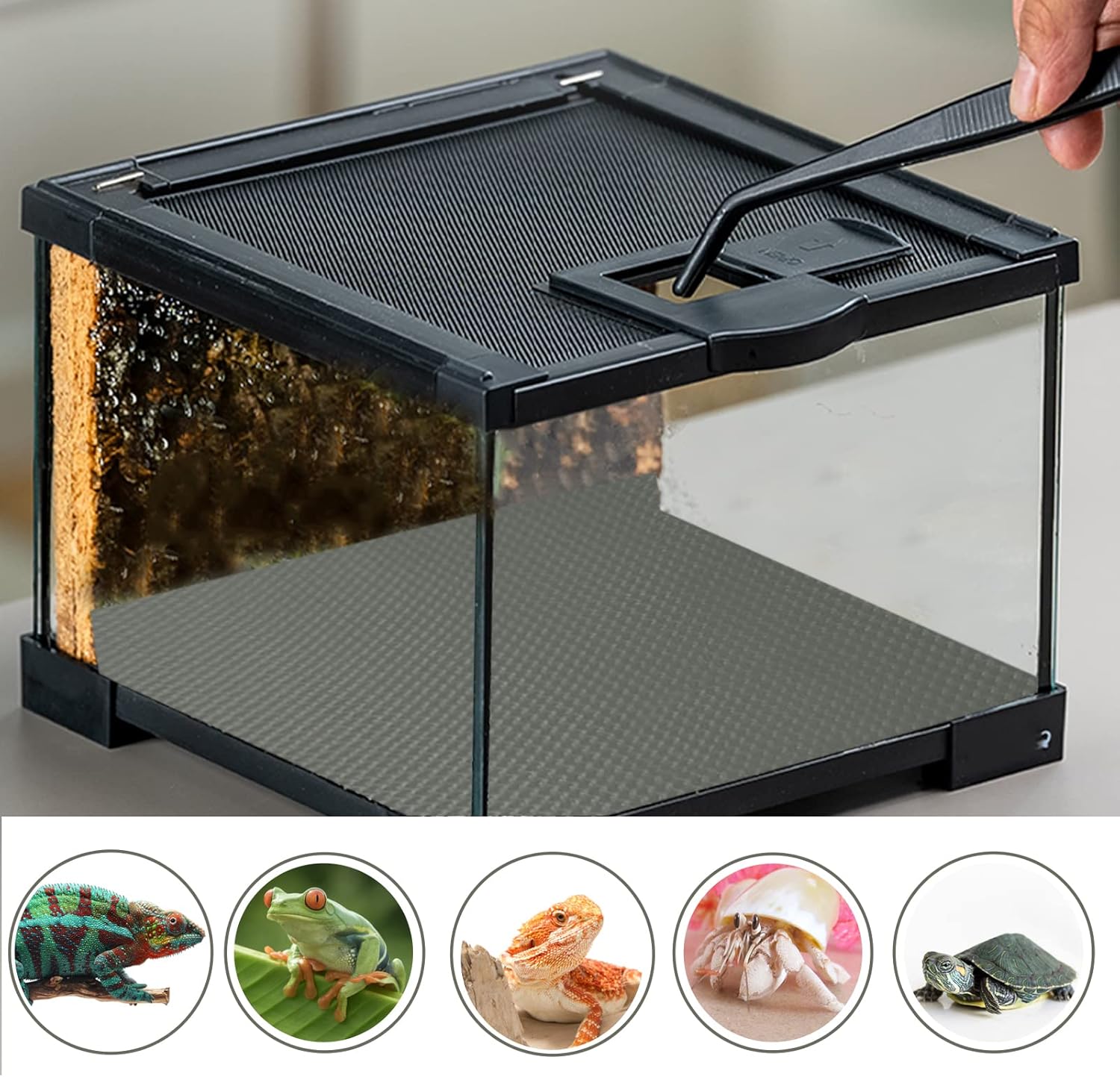Hlimior Paquete de 2 accesorios para tanque de dragón barbudo, sustrato de alfombra de terrario de reptiles no adhesivo para tanque de reptiles,