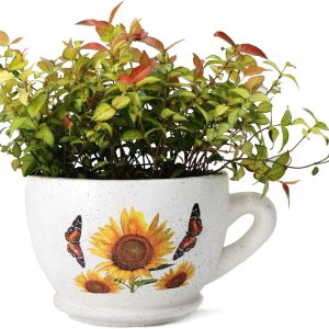 Fashionstorm Maceta de pared de cerámica colgante maceta contenedor decorativo interior y exterior maceta Fashionstorm Maceta de pared de cerámica colgante maceta contenedor decorativo interior y exterior maceta