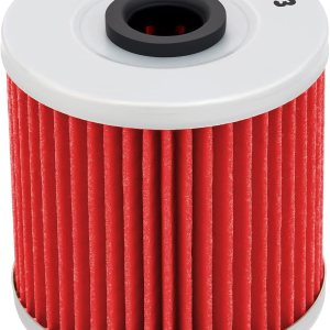 AHL 123 Filtro de aceite para Kawasaki KLR250 KLR 250 1985-2005, KLR650 KLR 650 CAMO 650 2016-2017, KLX250 KLX 250 1979-1980, KSF250 KSF 250 MOJAVE AHL 123 Filtro de aceite para Kawasaki KLR250 KLR 250 1985-2005, KLR650 KLR 650 CAMO 650 2016-2017, KLX250 KLX 250 1979-1980, KSF250 KSF 250 MOJAVE
