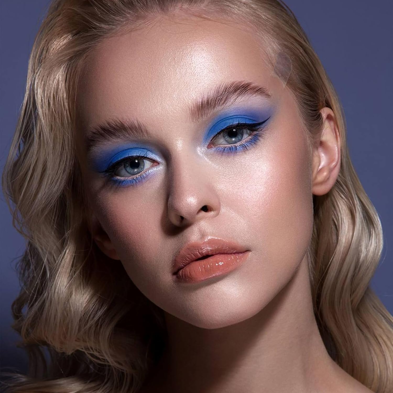 Erinde Paleta de sombra de ojos mate azul oscuro, polvo de sombra de ojos de alta pigmentación, larga duración, ultra mezclable, color intenso