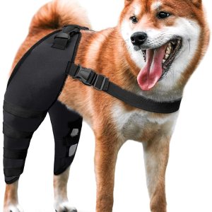 Rodilleras para perro para dolor CCL, ACL, artritis, soporte adicional, soporte ACL para perro, patas traseras, color negro, talla L Rodilleras para perro para dolor CCL, ACL, artritis, soporte adicional, soporte ACL para perro, patas traseras, color negro, talla L
