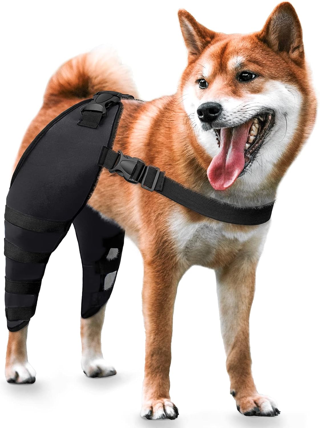 Rodilleras para perro para dolor CCL, ACL, artritis, soporte adicional, soporte ACL para perro, patas traseras, color negro, talla L