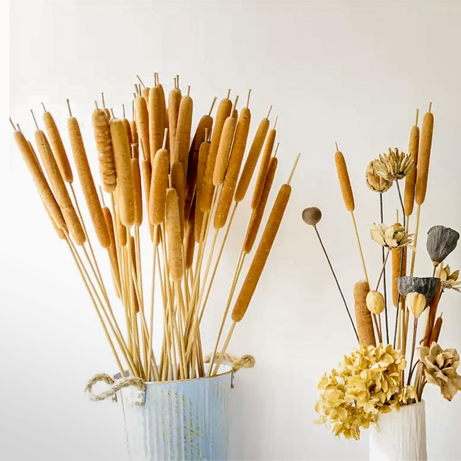 Colas naturales secas  25 piezas para arreglos florales rurales y decoración de oficina en casa  17 pulgadas (25 piezas)