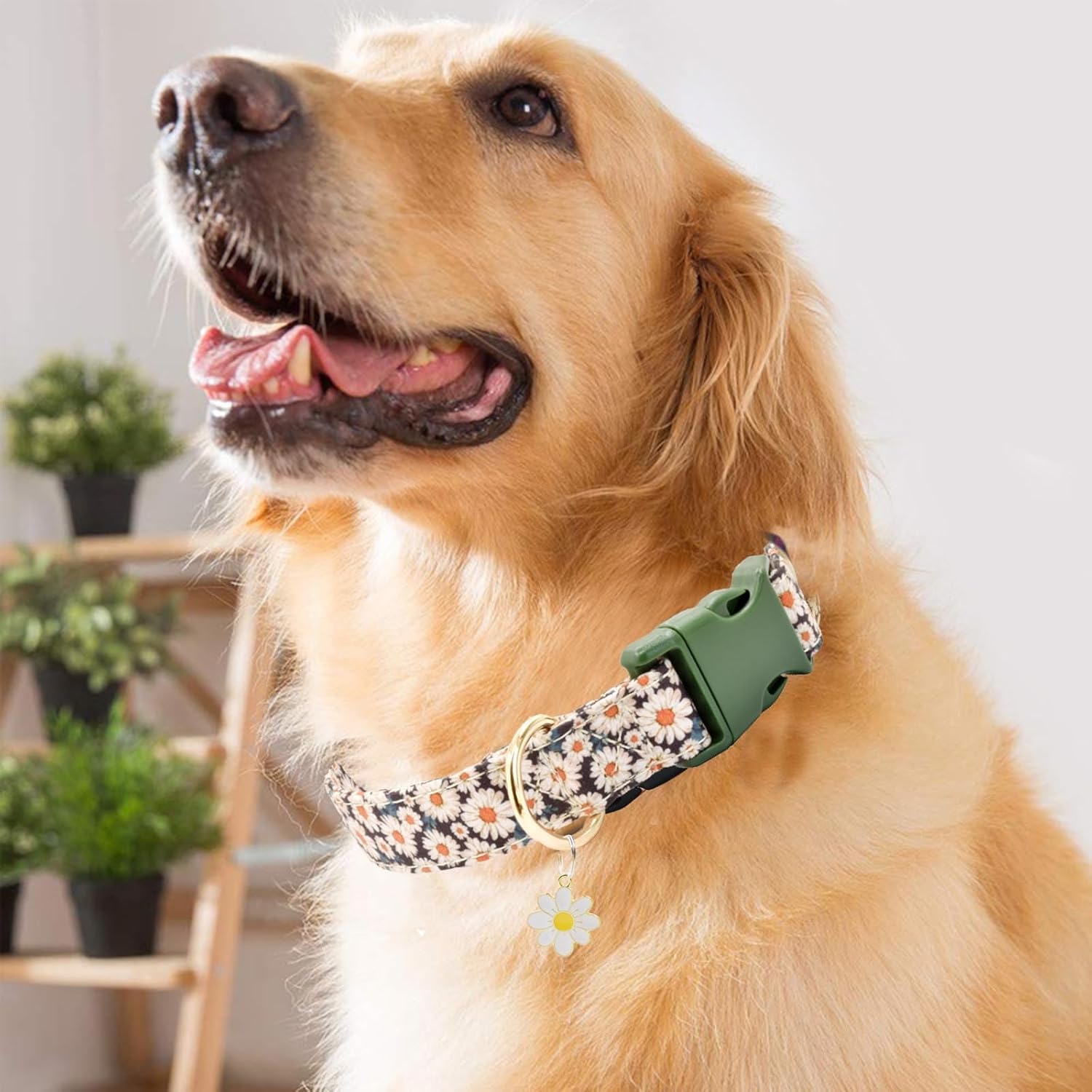 Lindo collar de algodón para perro, patrones de flores, collares suaves y ajustables para cachorros, para hembras pequeñas, medianas y grandes, con