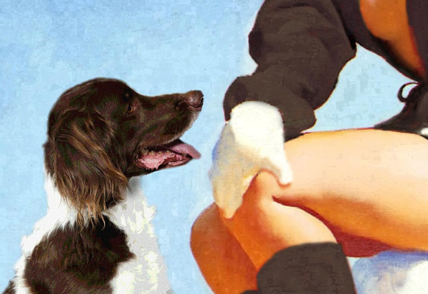 Steamboat Springs Colorado Snow Ski Poster Bretaña Spaniel Pin Up Art Print 328 (tamaño 24 x 36 pulgadas)