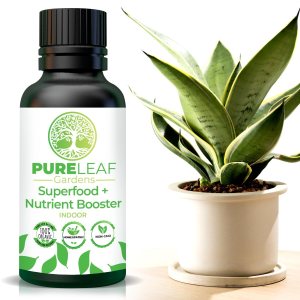 Potenciador de nutrientes de superalimentos para interiores, soporte homeopático para plantas de crecimiento y vitalidad, proporciona Potenciador de nutrientes de superalimentos para interiores, soporte homeopático para plantas de crecimiento y vitalidad, proporciona