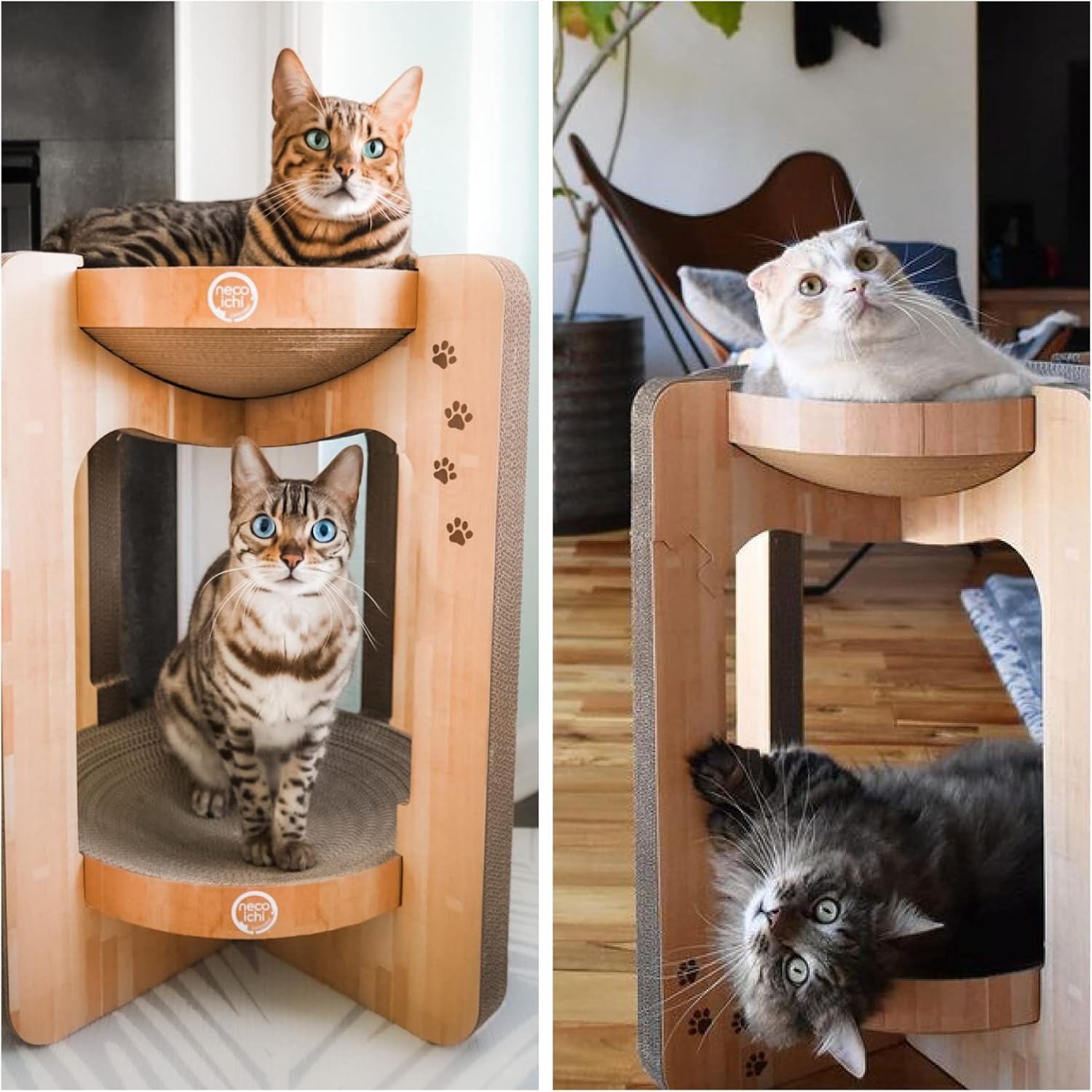 Necoichi Acogedor cuenco rascador para gatos, papel 100% reciclado, materiales sin químicos, número 1 en venta en Japón (torre roble), regular)