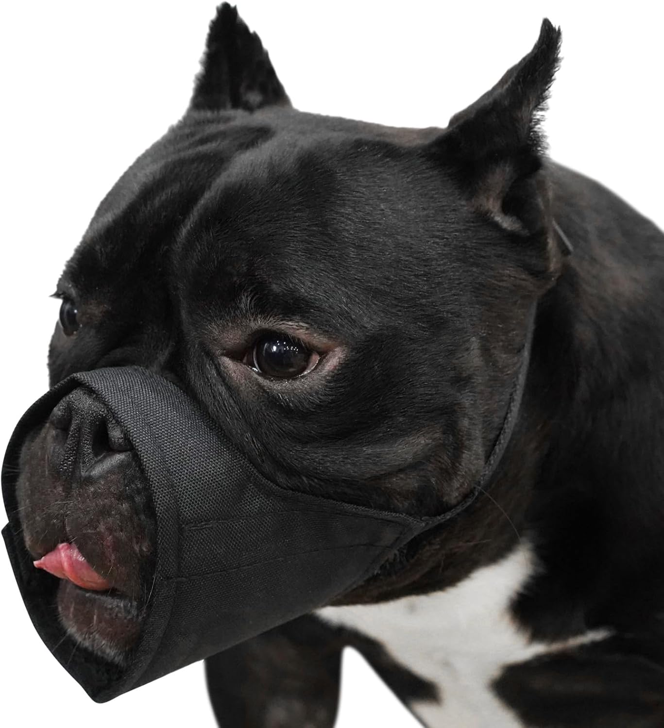 Bozal corto para perro, bozal suave para perros pequeños, medianos y grandes, bozal para Chihuahua Shih Tzu American Bulldog Pitbull para aseo y