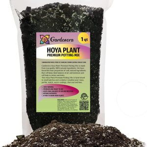 Hoya Plant Premium – Mezcla para macetas – 1 cuarto de galón – Equilibrio óptimo para Hoyas prósperas retención de aire, humedad y nutrientes Hoya Plant Premium – Mezcla para macetas – 1 cuarto de galón – Equilibrio óptimo para Hoyas prósperas retención de aire, humedad y nutrientes