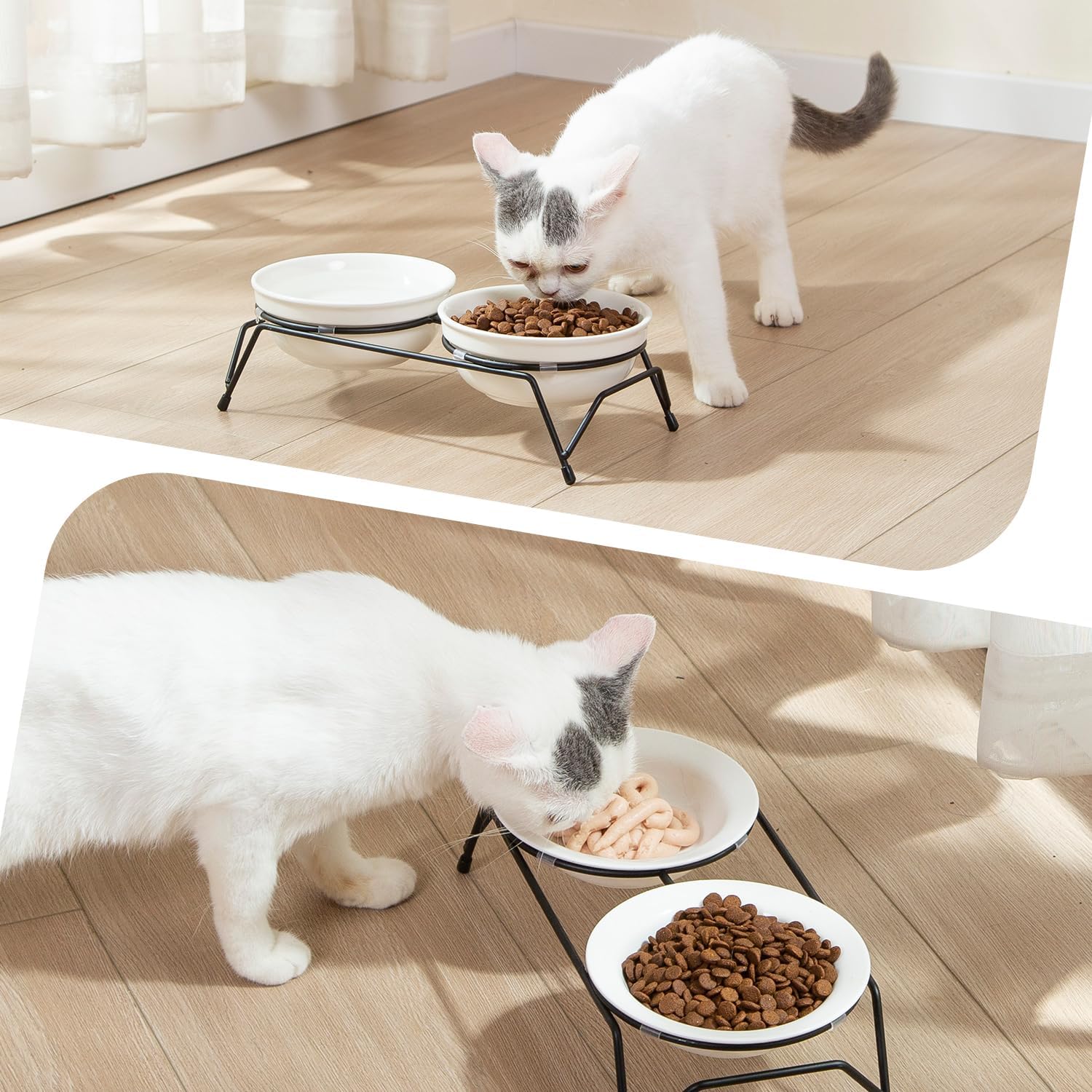 FOREYY – Cuencos elevados para gatos con 2 cuencos de cerámica y 2 platos, cuenco elevado para comida para gatos con soporte de metal, platos de