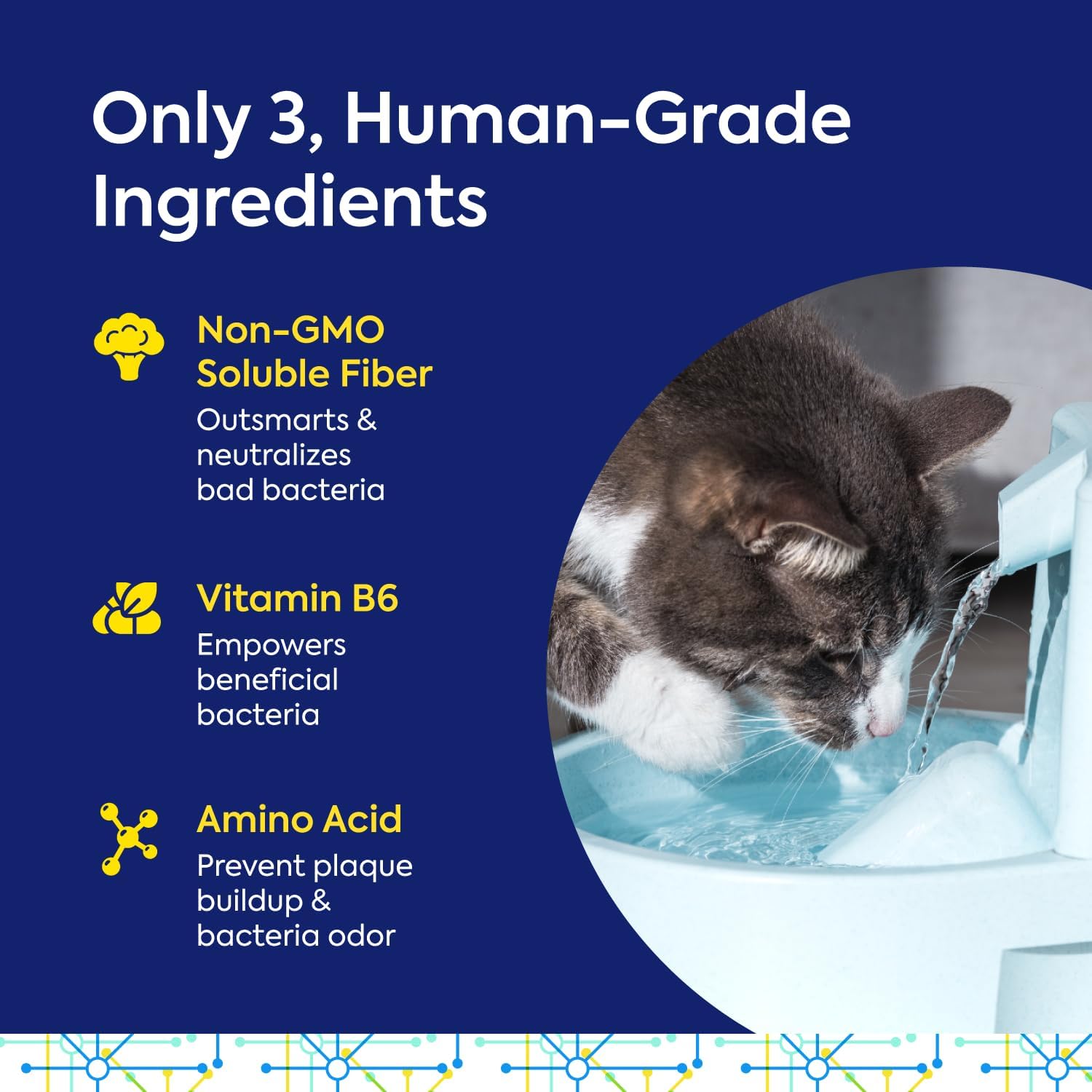 Protektin42+K Cuidado dental diario derivado de plantas para todas las mascotas (sin sodio), aditivo de agua dental, combate la placa y el sarro,