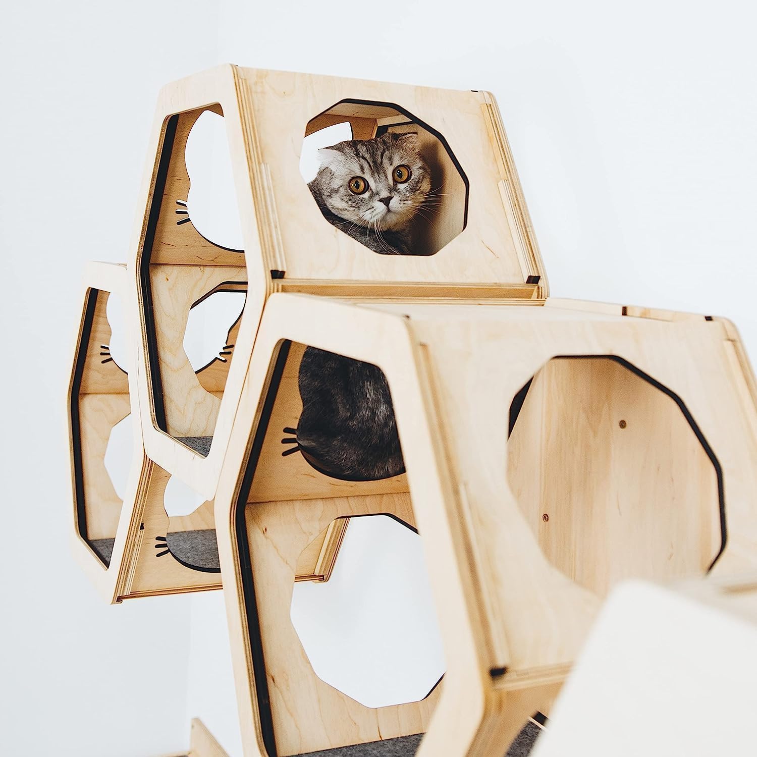 Wall Cat Shelves Wood Cat Wall Shelves Cat Furniture – Wooden Cat Shelf Wall Mounted Cat Wall Furniture – Indoor Cats Rustic Cat Decor Cat Lover