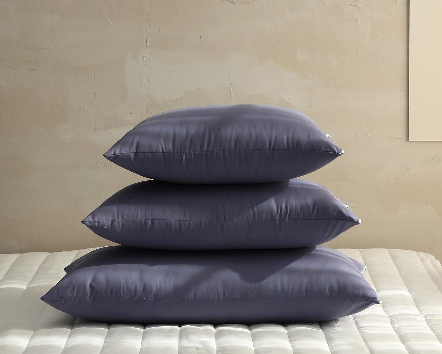 DT&G lobal – Juego de 4 fundas de almohada de microfibra suave cepillada, económicas y suaves al tacto con cremallera (Queen (20 x 30 pulgadas),