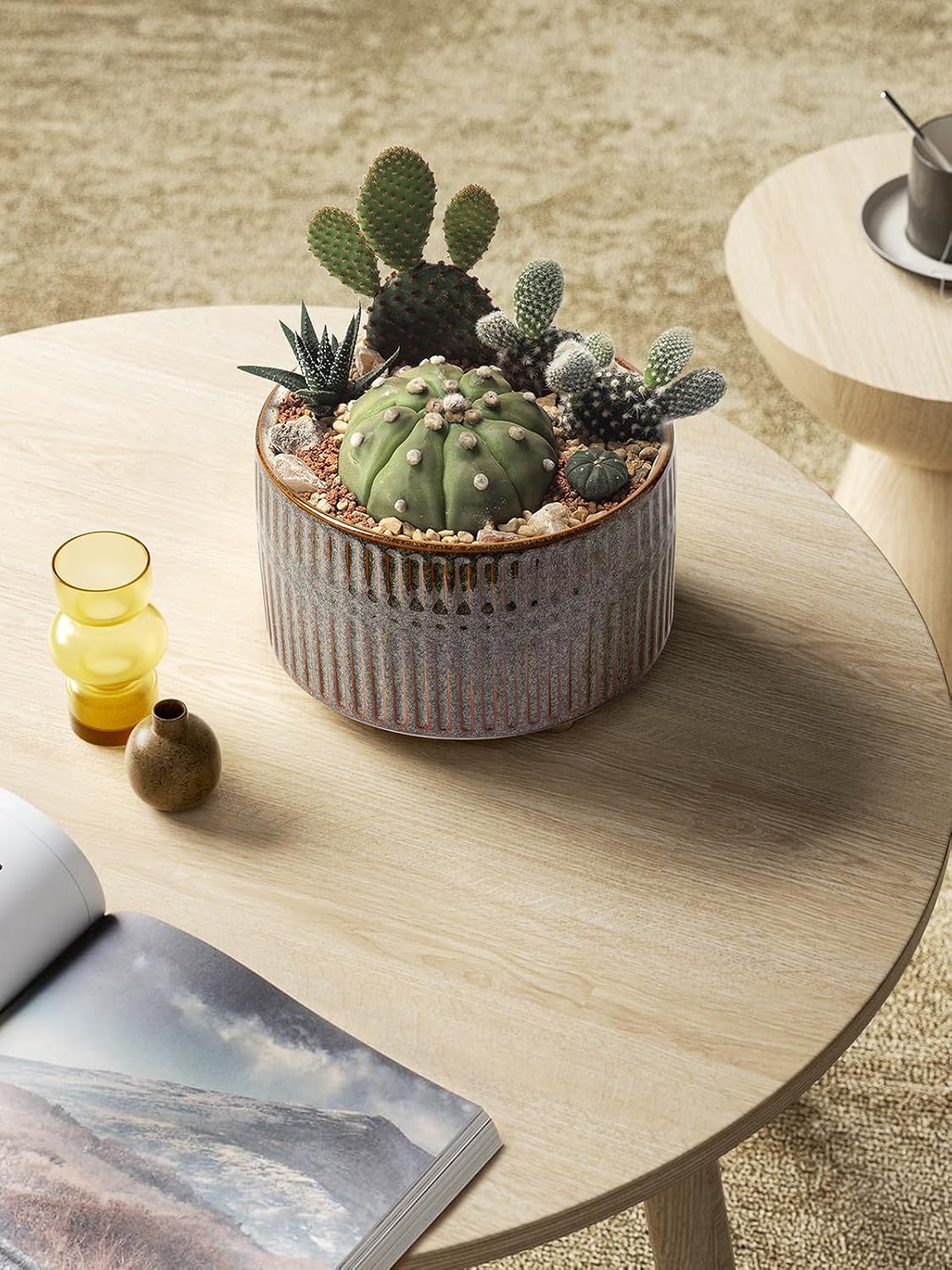 LE TAUCI Macetas para suculentas, maceta de cerámica de interior de 6.5 + 8 pulgadas con orificio de drenaje, moderna maceta decorativa redonda,