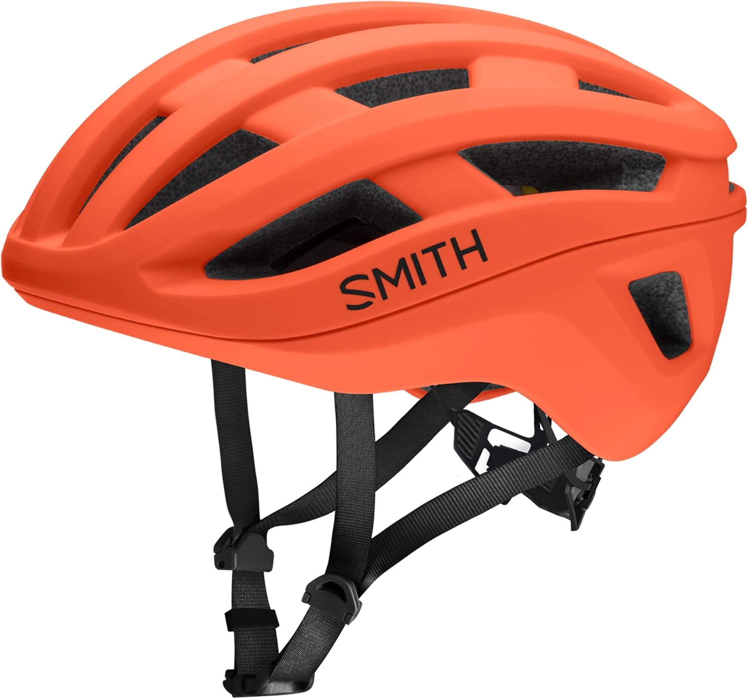 SMITH Persist MIPS