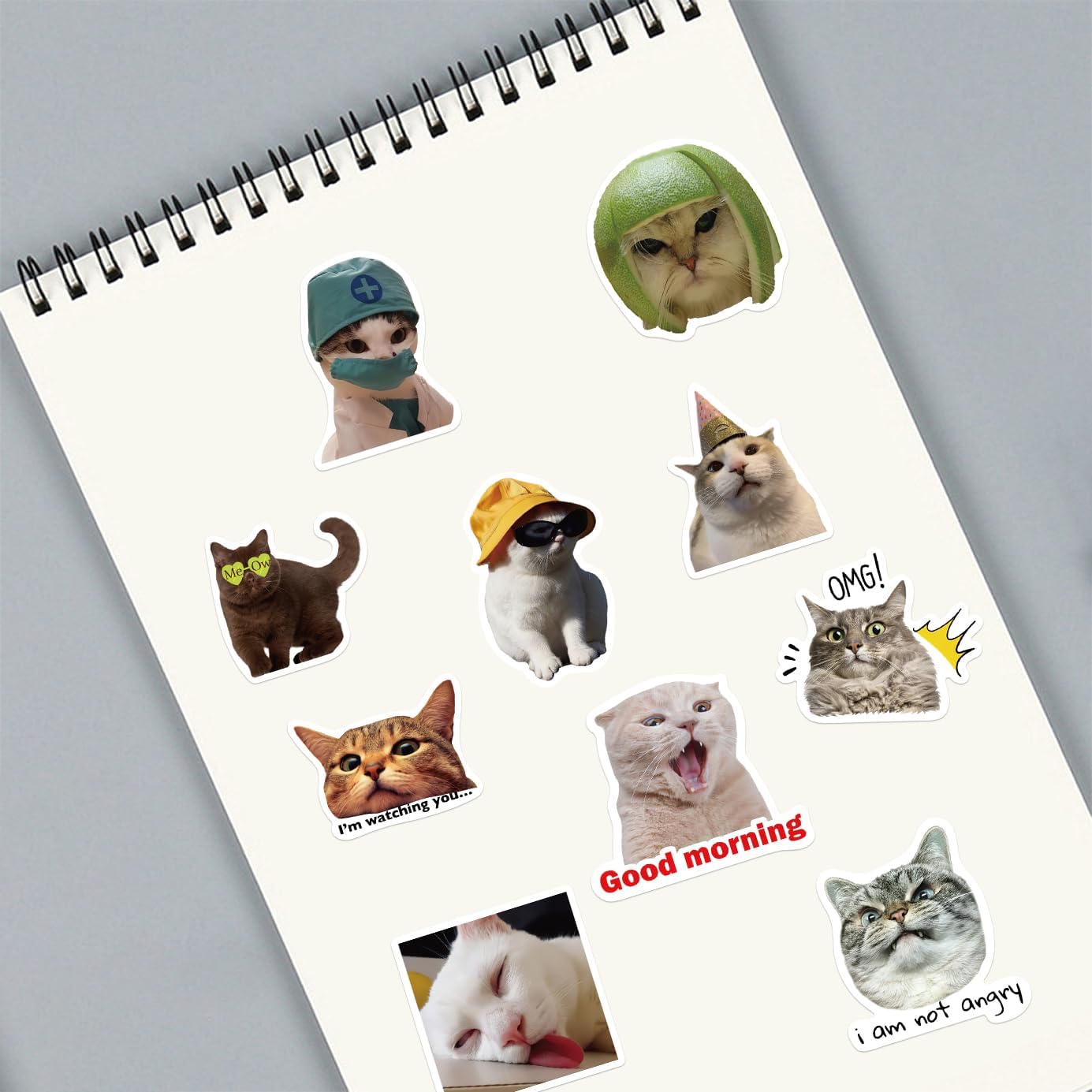 50 calcomanías de gatos bonitos, divertidas calcomanías de meme de gatos para niños, adolescentes y adultos, calcomanías de vinilo impermeables para
