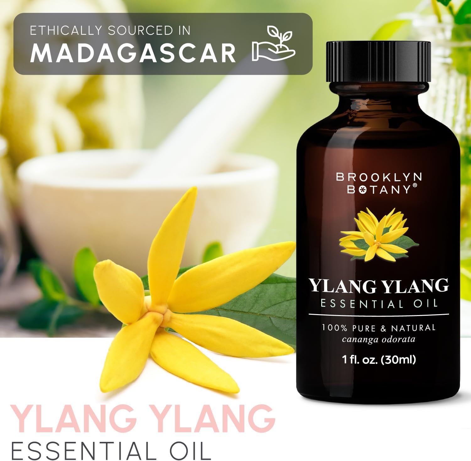 Brooklyn Botany Aceite esencial Ylang Ylang  100% puro y natural  Aceite esencial de grado terapéutico con cuentagotas  Aceite de ylang Ylang para