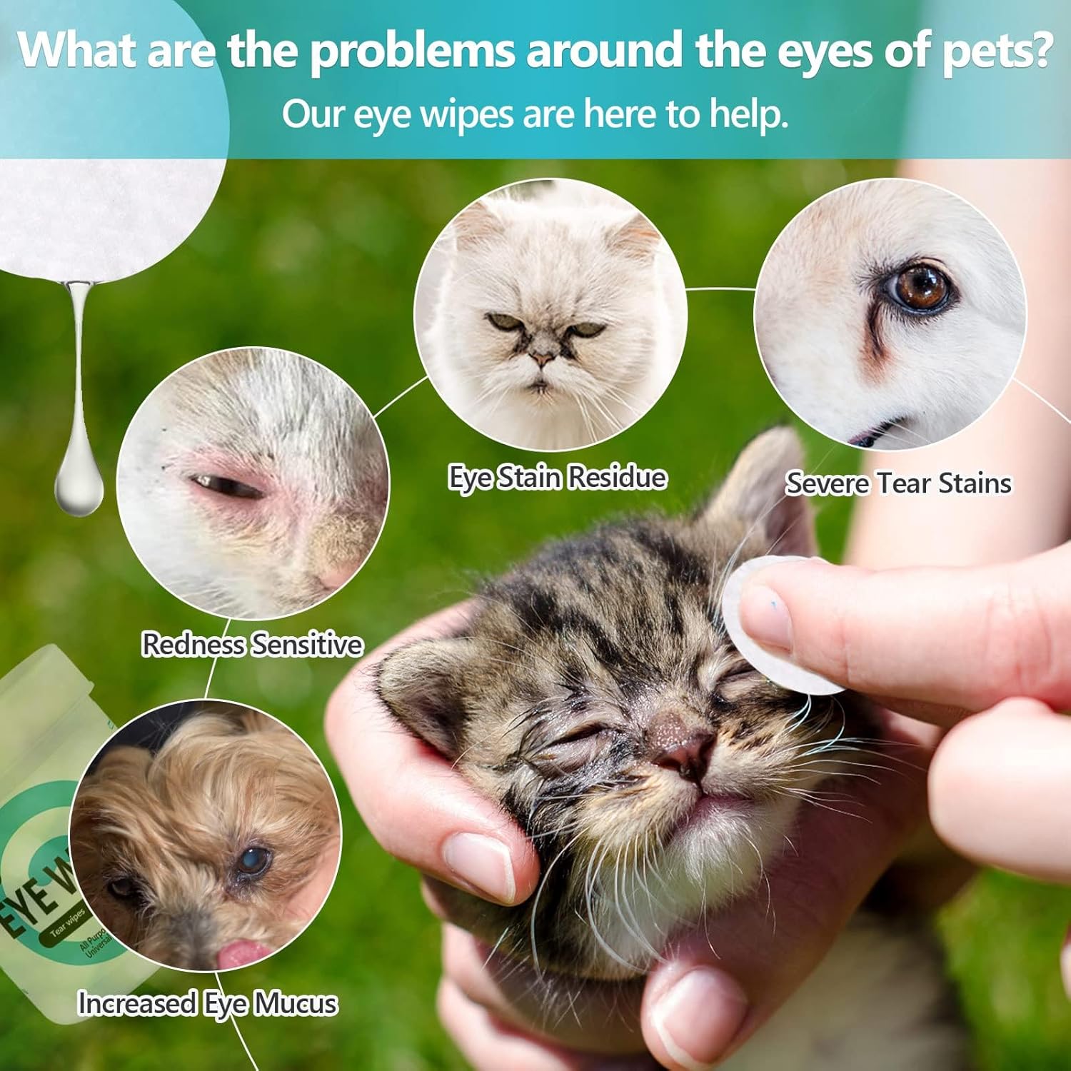 Toallitas para mascotas para gatos y perros, toallitas de aseo para ojos, patas, orejas, nariz, toallitas quitamanchas suaves sin perfume para