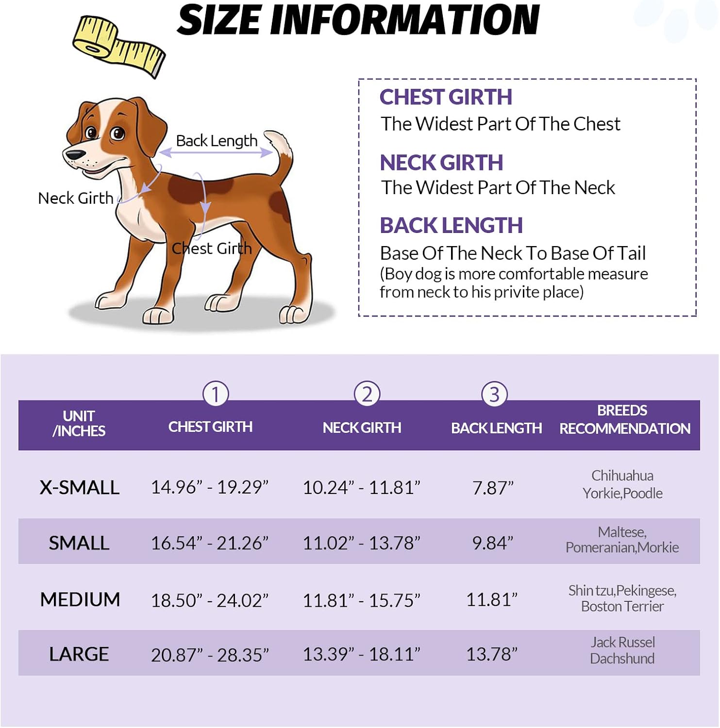 Queenmore Chaleco salvavidas para perros pequeños con diseño de tiburón, para natación, barco, kayak, alta flotabilidad, salvavidas para perros con