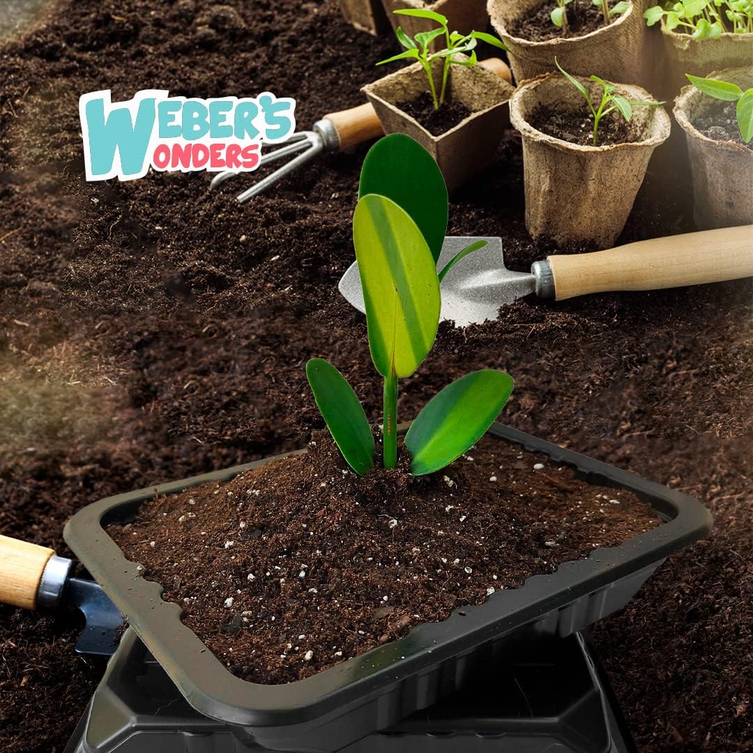 Weber’s Wonders Paquete de 10 bandejas de cultivo de plantas, sin agujeros de drenaje, bandejas perfectas para semillas de jardín, bandejas de