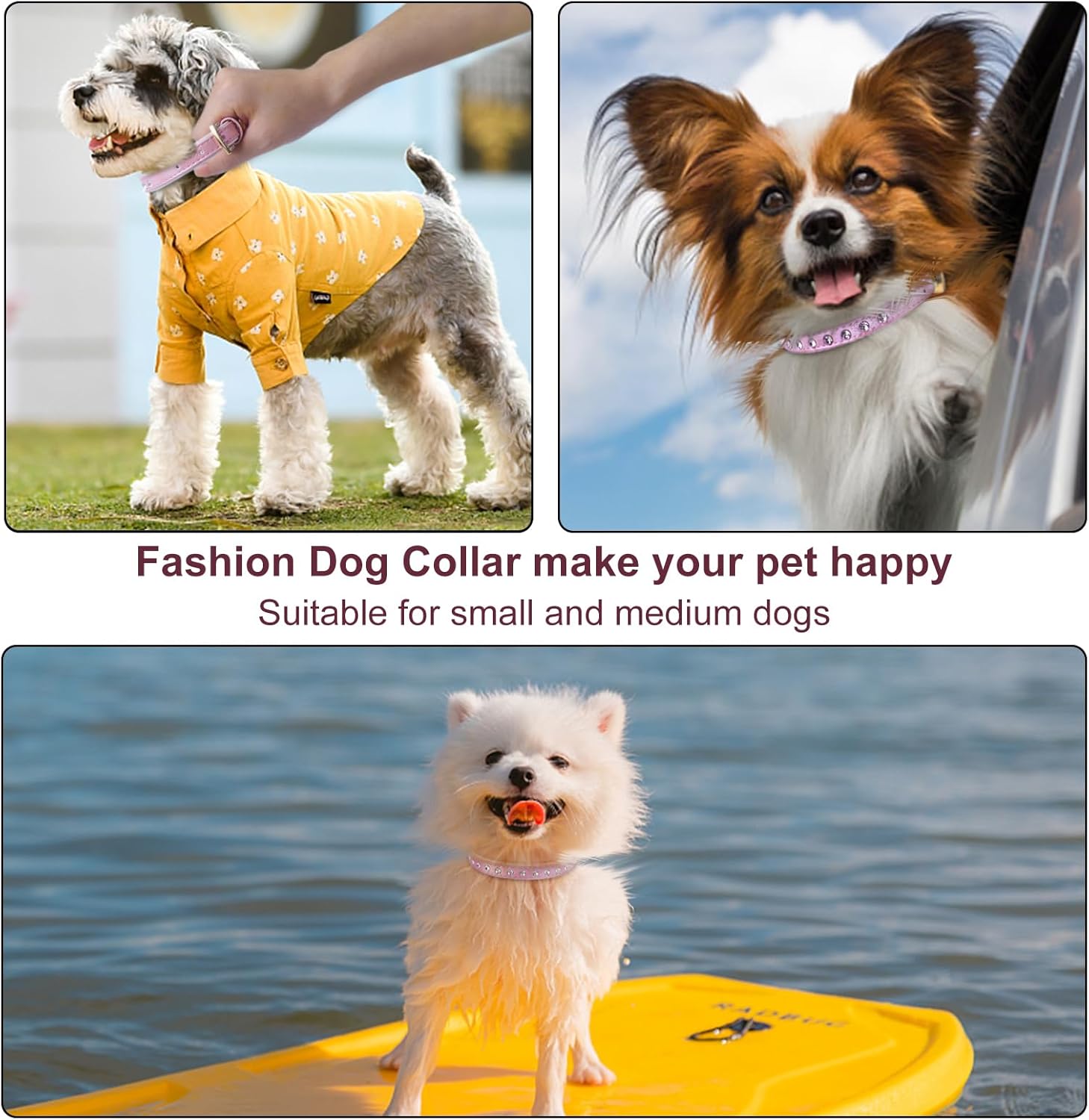 LOVPE Collar para perro de cuero brillante con diamantes de imitación tachonados, accesorio glamoroso de hebilla dorada para perros pequeños a