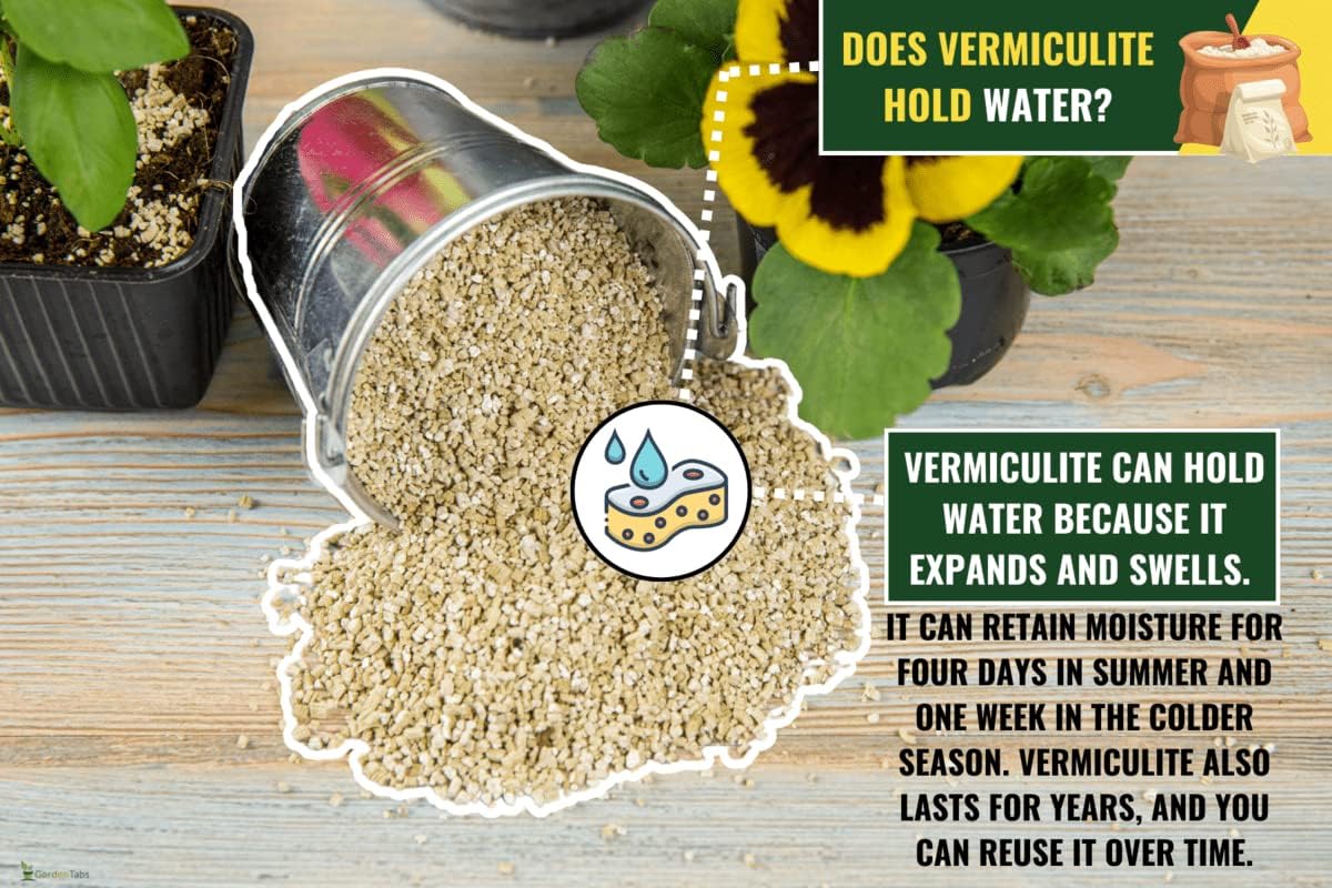 Descubre el secreto para el crecimiento perfecto de las plantas vermiculita hortícola de Gardenera para una retención óptima de agua y drenaje del