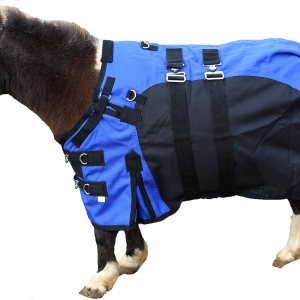 1200D Miniatura Weanling Donkey Pony Horse Foal Winter Turnout Impermeable Transpirable Manta Rosa 51975 1200D Miniatura Weanling Donkey Pony Horse Foal Winter Turnout Impermeable Transpirable Manta Rosa 51975